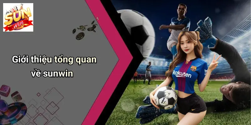 SUN WIN 14 Giới thiệu tổng quan về sunwin